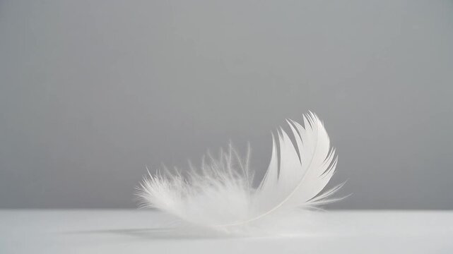 Slow-motion video of a white feather gently descending and landing on a surface in a minimalist setting