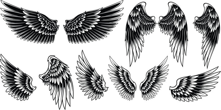 Angel and bird wings engraving collection detailed feathered vector illustration set