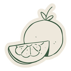 Minimal hand drawn fruit slice illustration with simple lines. Suitable for fresh food visuals, menu graphics, packaging design, and healthy lifestyle themes.