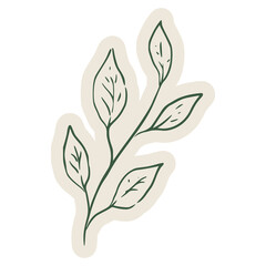 Obraz premium Hand drawn herb leaves illustration in a clean minimal doodle style. Suitable for organic visuals, natural themes, menu graphics, packaging design, and decorative elements.