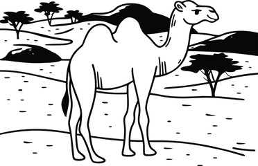 camel in the desert