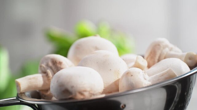Washing Champignon Mushrooms In A Colander Under A Stream Of Water Splashing in Slow Motion