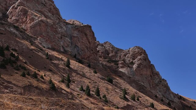 Rocky Mountain Cliff With Pine Trees Kyrgyzstan
