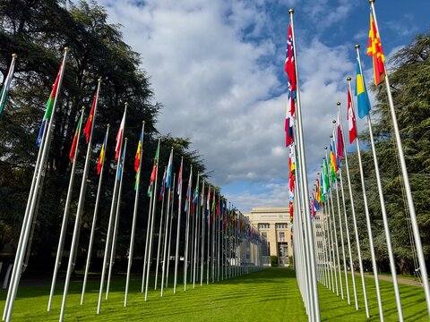 The flags of the members of the United Nations in Geneva.
