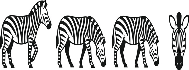 Zebra silhouettes collection with different grazing walking standing poses isolated black animal vector illustration for wildlife safari design. © MstSuborna