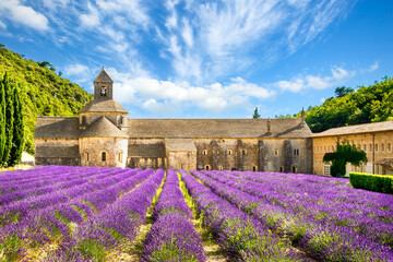 Lavender fields in bloom in front of Abbaye Notre Dame de Senanque, Gordes, Provence, France