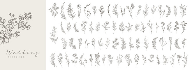 Botanical floral elements in line art style. Flowers, branches and leaves hand drawn . Vector set for label, logo, corporate identity, wedding invitation, wreath, frame, border © Victory