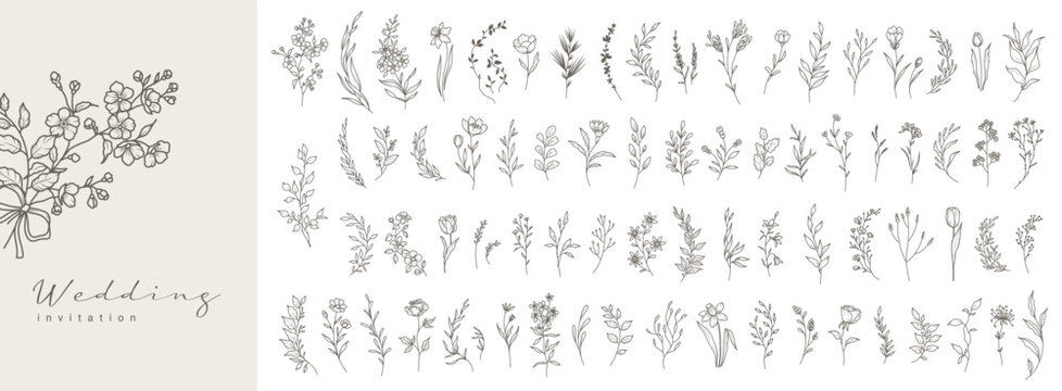 Botanical floral elements in line art style. Flowers, branches and leaves hand drawn . Vector set for label, logo, corporate identity, wedding invitation, wreath, frame, border