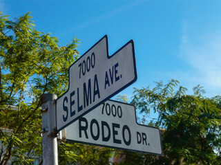 Fototapeta premium Sign for Selma Avenue and Rodeo Drive