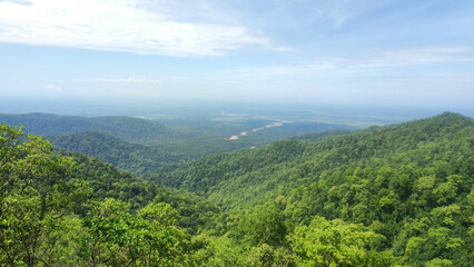 Fototapeta premium A sweeping panoramic view of lush green, forested hills stretching endlessly under bright blue sky.