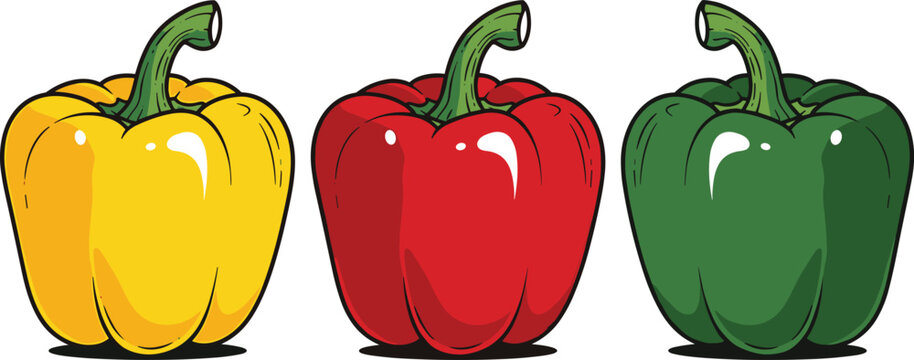 Colorful bell pepper collection red yellow and green capsicum vegetable vector illustration set