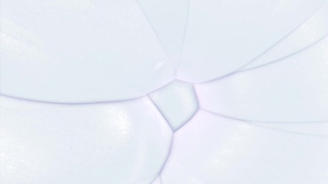 Top view of a soft pastel organic sphere with smooth curved segments blending subtle pink and blue tones, creating a calm minimal abstract background with gentle lighting