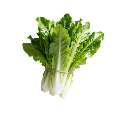 [Transparent Background PNG]Fresh green leafy vegetable with crisp texture and healthy nutrition