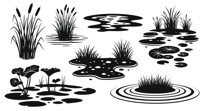 Nature Environment Wetland Aquatic Plants Black  White Silhouette Vector Icons Set. Pond Elements: Cattails, Reeds, Lily Pads, Grass, Puddles.