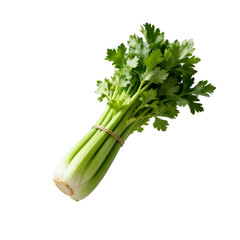 [Transparent Background PNG]Fresh green celery bunch with crisp stalks and leafy tops