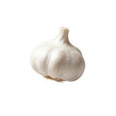 [Transparent Background PNG]Fresh single garlic bulb isolated on white background