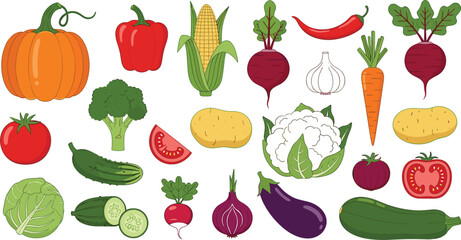 Fototapeta premium Large collection of hand drawn vegetable icons including pumpkin, corn, broccoli, carrot, eggplant, and tomato for healthy eating and vegan concepts.