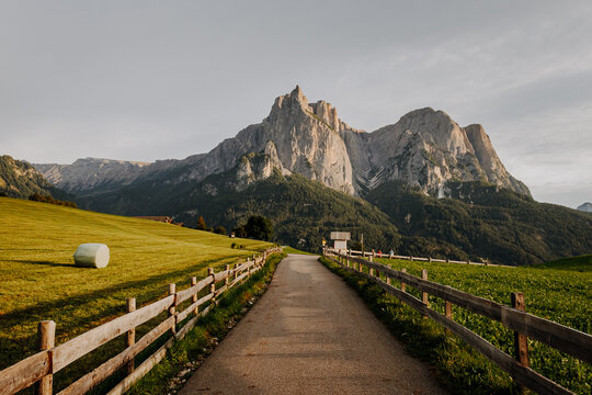 Single wrapped silage bale on a green alpine meadow next to a mountain road with the Sciliar massif, Dolomites