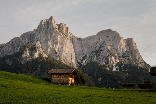 Traditional wooden alpine hut on a green meadow with the majestic Sciliar (Schlern) mountain in the Dolomites