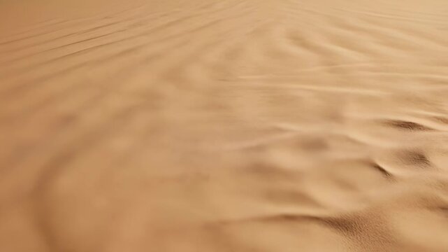 A vast expanse of sandy desert landscape with gentle ripples