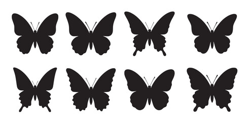 black butterfly silhouettes on white © Ueinv