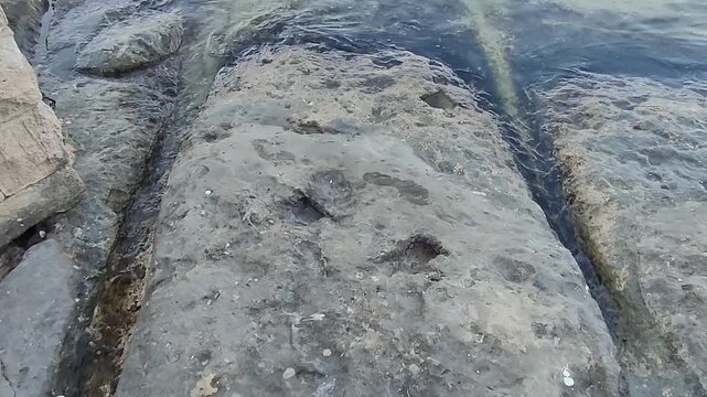 The cart ruts, ancient wonders, deeply carved limestone tracks that run underwater in St. George&rsquo;s Bay, Birżebbuġa city, Malta island
