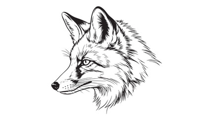Obraz premium Hand drawn fox head vector illustration
