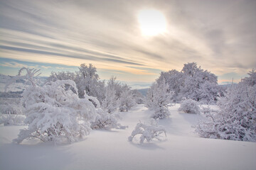 Obraz premium Winter snowy sunset in the mountains