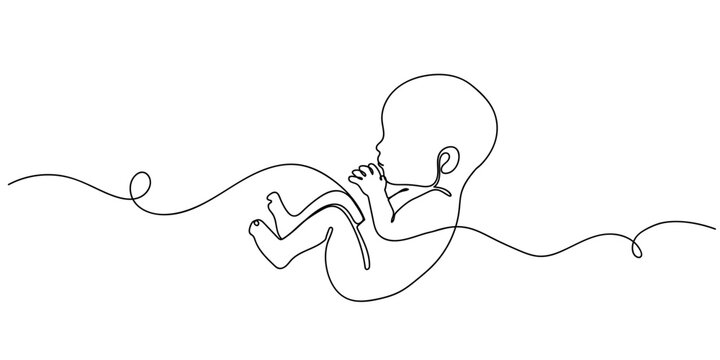 One line drawing. Continuous single line. Baby in the womb. Editable stroke.