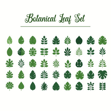 Green Botanical Leaf Icon Set &ndash; Tropical Plant Collection