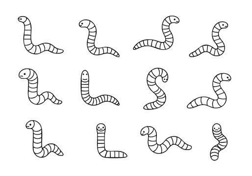 Handdrawn Lineart Different Poses Worm Creature Animal Doodle Illustration