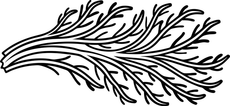seaweed branch illustration hand drawn black outline marine algae, natural ocean plant concept