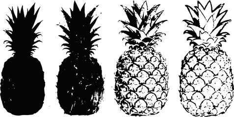 Fototapeta premium black and white pineapple silhouettes and detailed sketches set with tropical fruit patterns