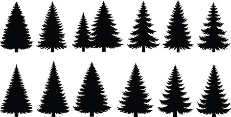 WebSet of pine tree silhouettes, black evergreen coniferous forest fir collection isolated on white background, nature wood vector graphic elements. © Md