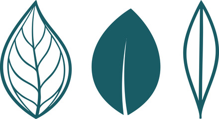 Set of three stylized teal green leaf icons in different minimalist designs perfect for nature, ecology, and wellness branding © art