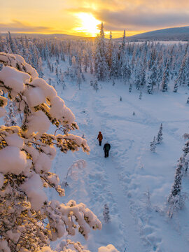 Two hikers traverse a snowy trail in Akaslompolo, Lapland as the sun sets behind the trees. The winter wonderland glows warmly under the evening sky, creating a magical atmosphere for adventure.