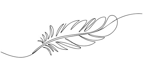 feather continuous one line drawing, Bird feather continuous one line drawing of bird feather icon Isolated on white background vector illustration, Continuous Line Drawing of Feather Icon. one line © DESIGN LINE