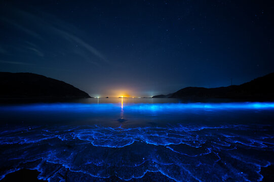 Bioluminescent glowing waves, known as blue tears, crashing on the beach at night under a starry sky. Long exposure seascape showing the magical phenomenon of glowing plankton.