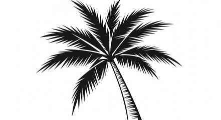 Obraz premium Elegant black and white illustration of a tall palm tree silhouette.