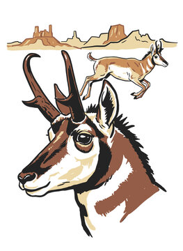 Pronghorn antelope head and running animal in Western desert landscape, retro vector illustration for wildlife design.