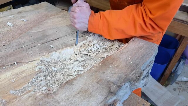 carpenter, chisel, wood, carving, woodworking, man, worker, workshop, overalls, sawdust, craft, craftsman, tool, hand tool, gouge, timber, slab, lumber, chips, shavings, working, manual, labor, skill,