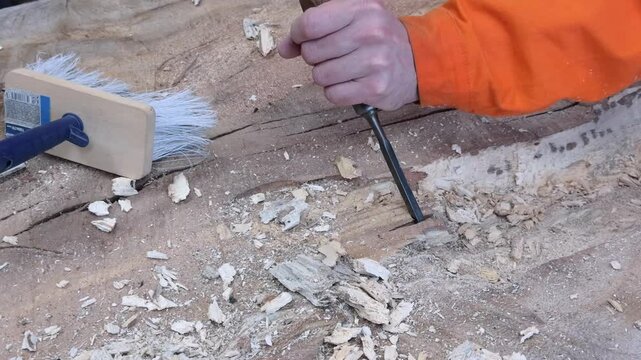 A carpenter in overalls chiselling a wooden slab in a carpentry workshop. A working man. Tools, chisel, mallet. Woodworking. Sawdust, wood chips. Real people. Lifestyle, Authentic, Candid

