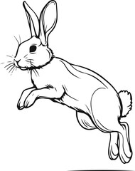 Fototapeta premium Pure black and white vector illustration of a rabbit mid-jump, minimal dynamic outline, flat line art 1