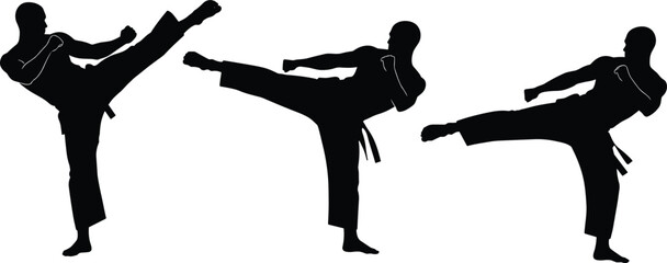 Martial arts high kick silhouette set featuring karate fighter performing dynamic combat poses, sports action vector illustration isolated background © Moniruzzaman