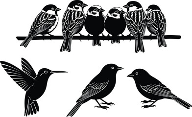 Fototapeta premium Set of bird silhouettes featuring sparrows on a branch hummingbird in flight and songbirds for nature wildlife avian icons and spring designs