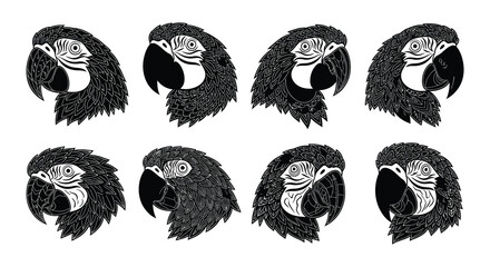 Stylized black and white illustrations of macaw parrot heads in a grid © MdNirob