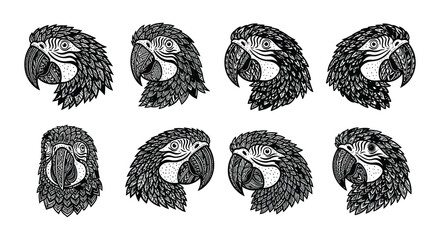 Stylized black and white illustrations of macaw parrot heads in a grid © MdNirob
