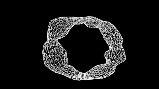 Abstract 3D Wireframe Mesh Torus and Sphere Network On Black Background, Geometric Tech Structure