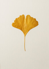 Delicate golden ginkgo biloba leaf against a soft background