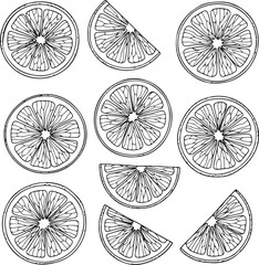Collection of handdrawn lemon slices and citrus fruits in various orientations